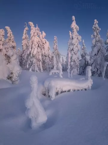 https://upforme.ru/uploads/0012/15/01/666/t973435.webp