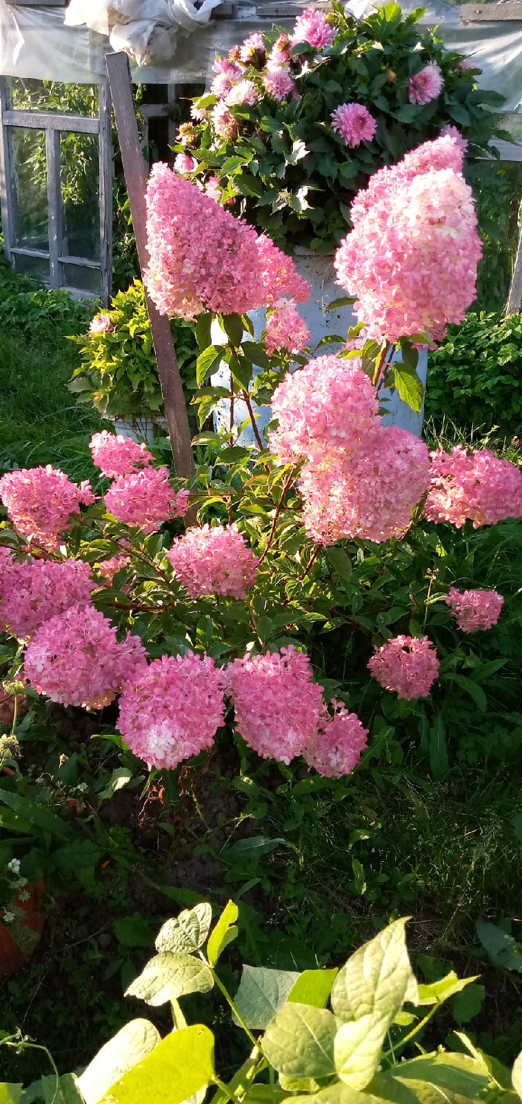https://upforme.ru/uploads/0012/15/01/676/144333.jpg