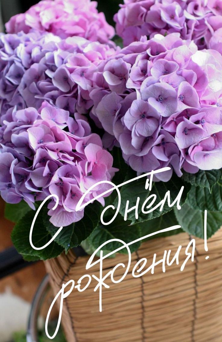 https://upforme.ru/uploads/0012/15/01/676/454302.jpg