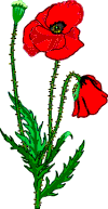 https://upforme.ru/uploads/0012/15/01/680/260139.gif