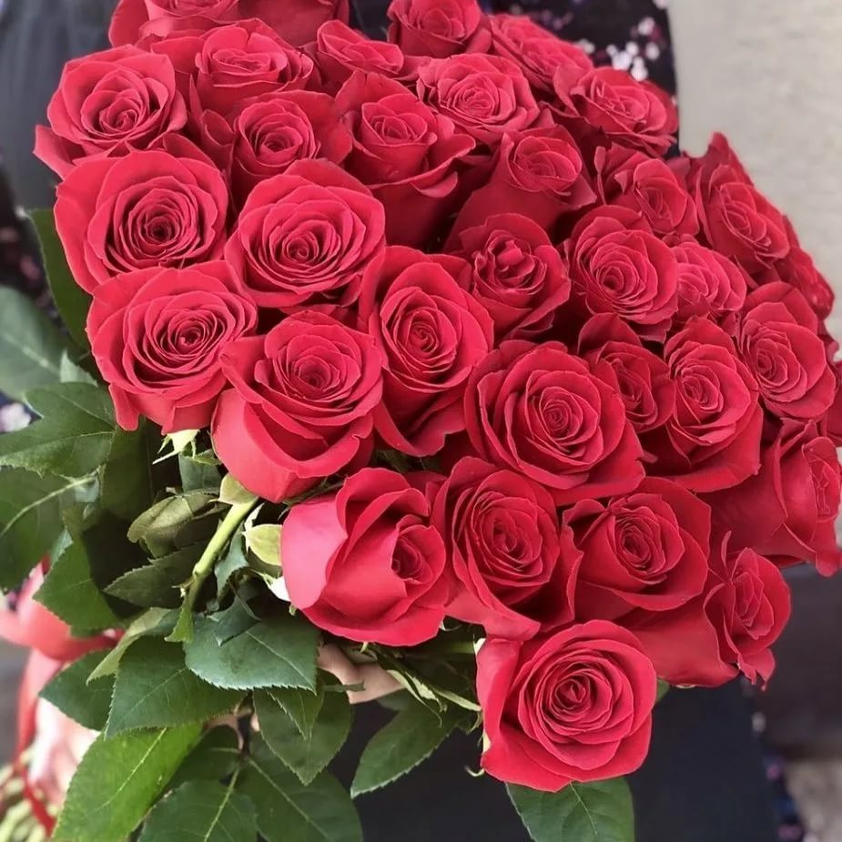 https://upforme.ru/uploads/0012/15/01/692/623897.jpg