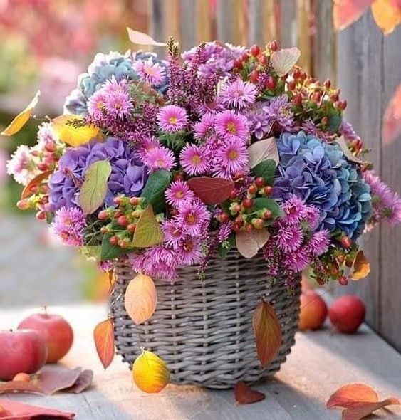 https://upforme.ru/uploads/0012/15/01/692/801739.jpg