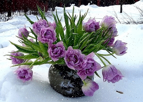 https://upforme.ru/uploads/0012/15/01/692/856966.gif