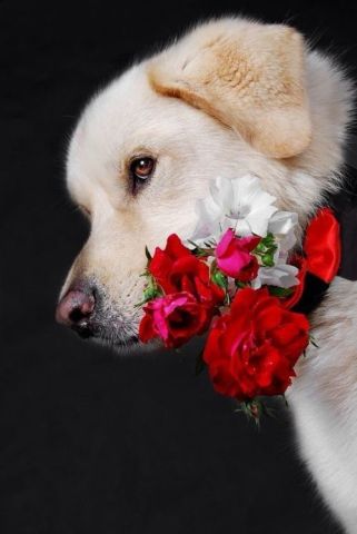 https://upforme.ru/uploads/0012/15/01/707/t874708.jpg