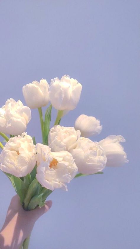 https://upforme.ru/uploads/0012/15/01/707/t942205.jpg