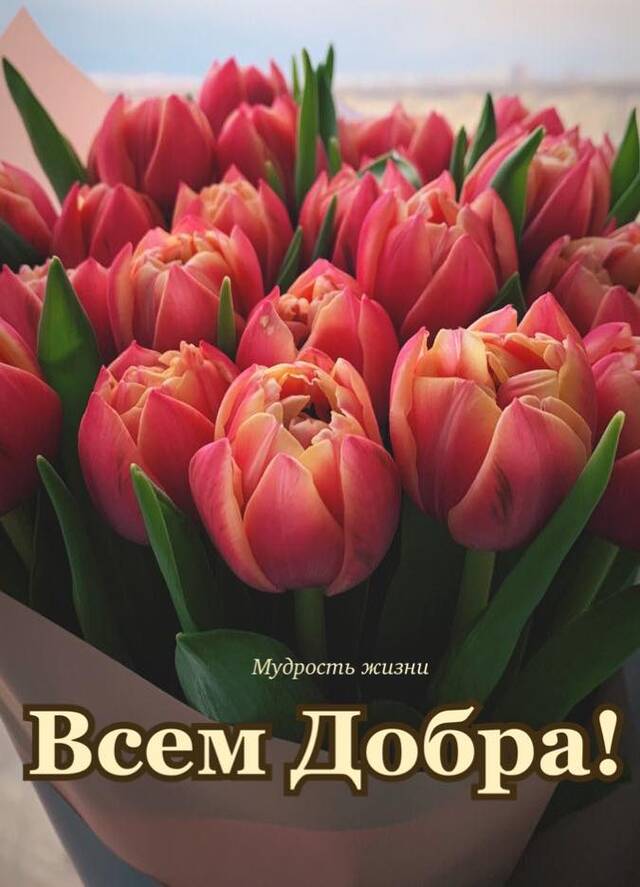https://upforme.ru/uploads/0012/15/01/751/547384.jpg