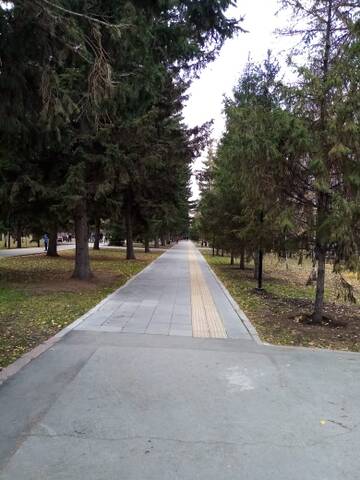 https://upforme.ru/uploads/0012/15/01/796/t399651.jpg