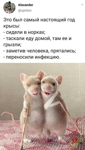 https://upforme.ru/uploads/0012/15/01/796/t417887.jpg