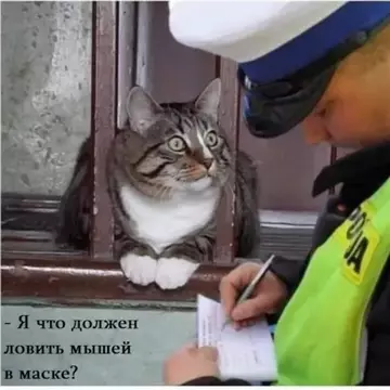 https://upforme.ru/uploads/0012/15/01/796/t496980.webp