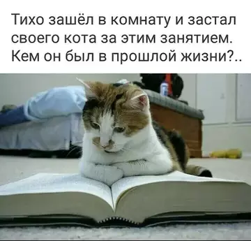 https://upforme.ru/uploads/0012/15/01/796/t73821.webp