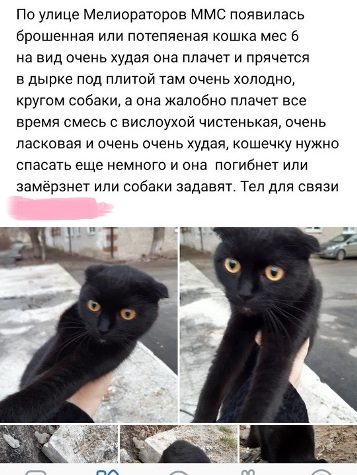 https://upforme.ru/uploads/0012/15/01/834/243320.jpg