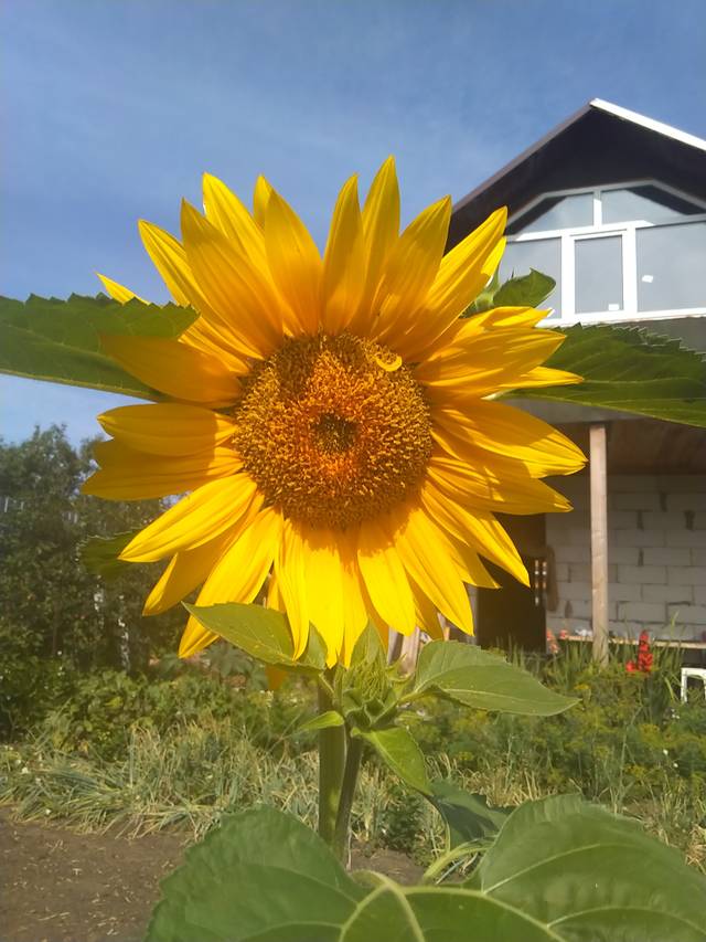 https://upforme.ru/uploads/0012/15/01/834/611615.jpg