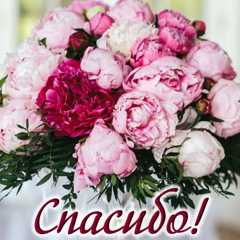https://upforme.ru/uploads/0012/15/01/834/804668.jpg