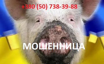https://upforme.ru/uploads/0012/1e/71/33/t591229.png