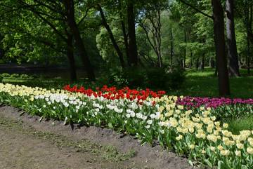 https://upforme.ru/uploads/0012/2f/8f/4/t223976.jpg