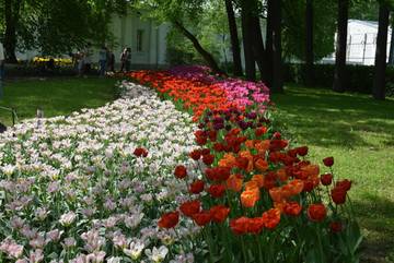 https://upforme.ru/uploads/0012/2f/8f/4/t490189.jpg