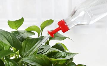 https://upforme.ru/uploads/0012/49/6f/973/t735772.jpg