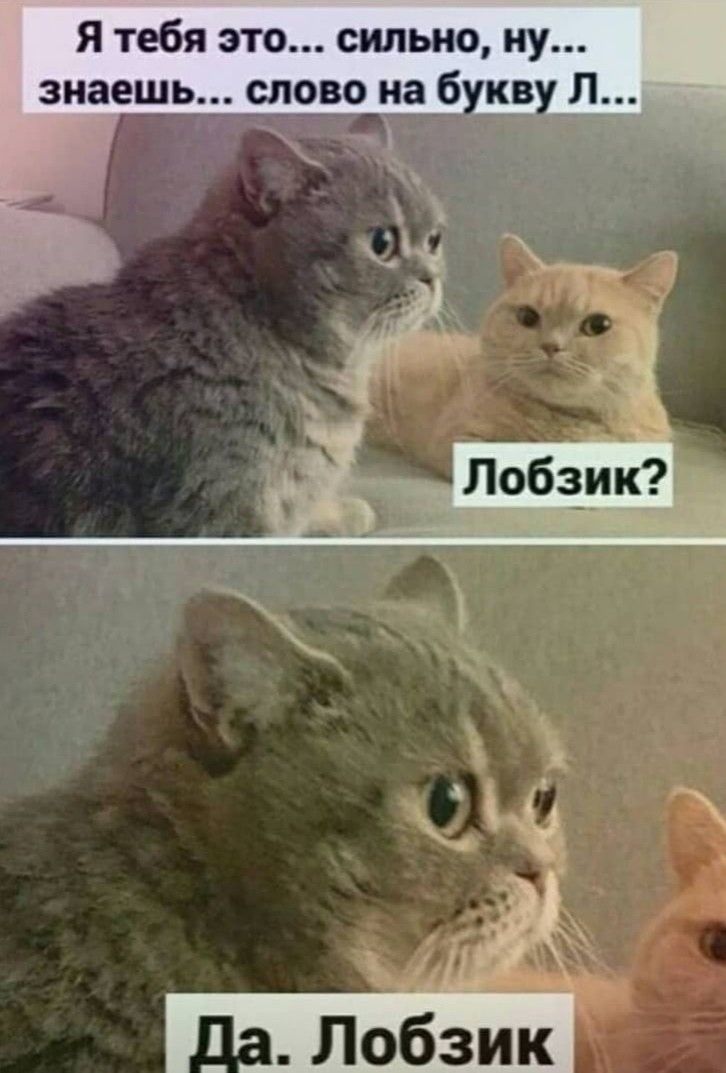 https://upforme.ru/uploads/0012/57/91/184/118676.jpg
