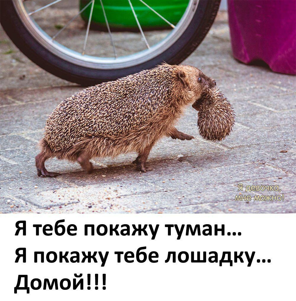 https://upforme.ru/uploads/0012/57/91/184/28836.jpg
