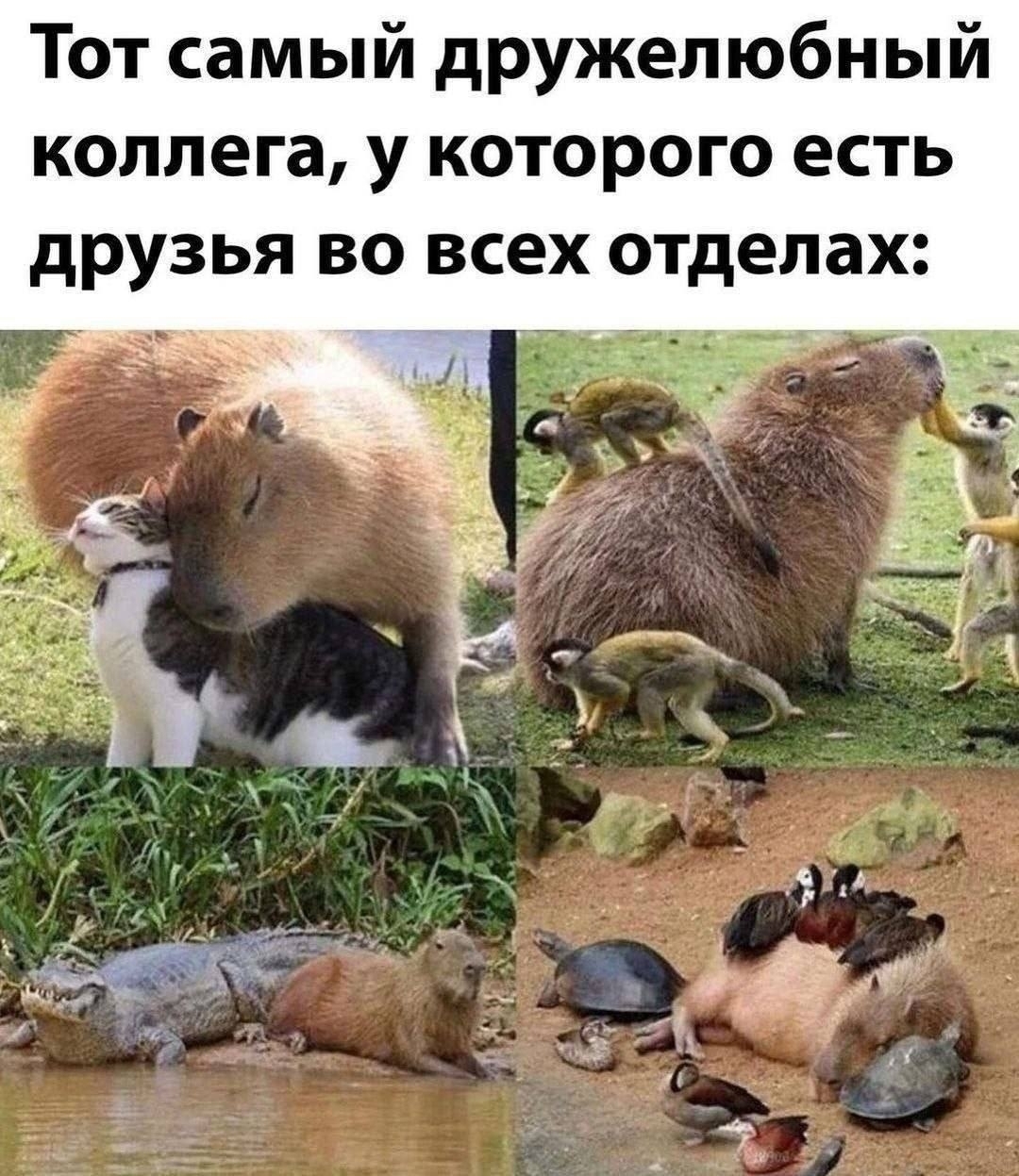 https://upforme.ru/uploads/0012/57/91/184/46569.jpg