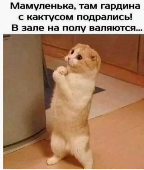 https://upforme.ru/uploads/0012/57/91/184/604045.jpg