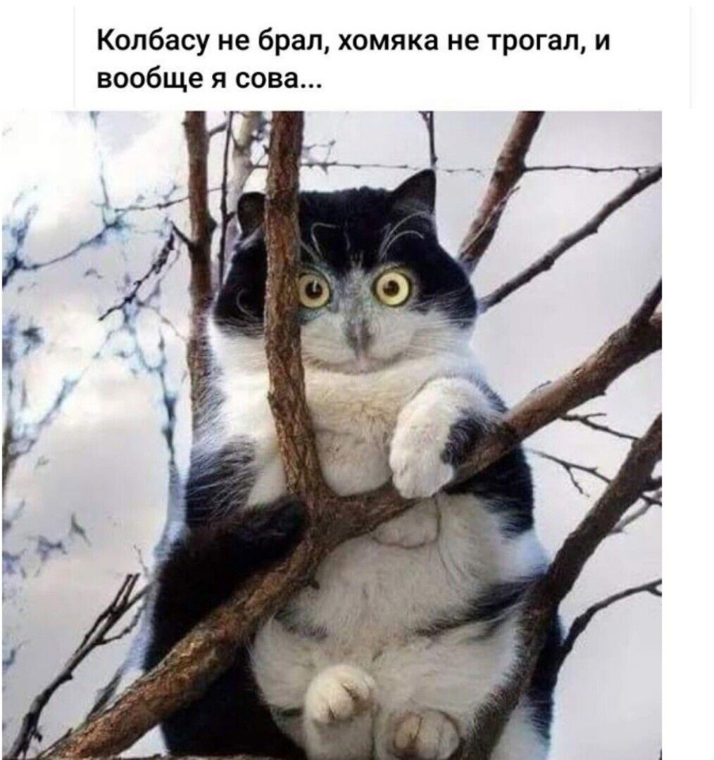 https://upforme.ru/uploads/0012/57/91/184/615410.jpg