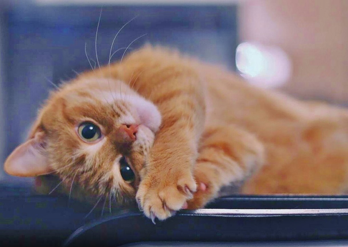 https://upforme.ru/uploads/0012/57/91/184/64321.jpg