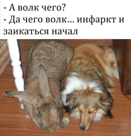 https://upforme.ru/uploads/0012/57/91/184/673832.jpg