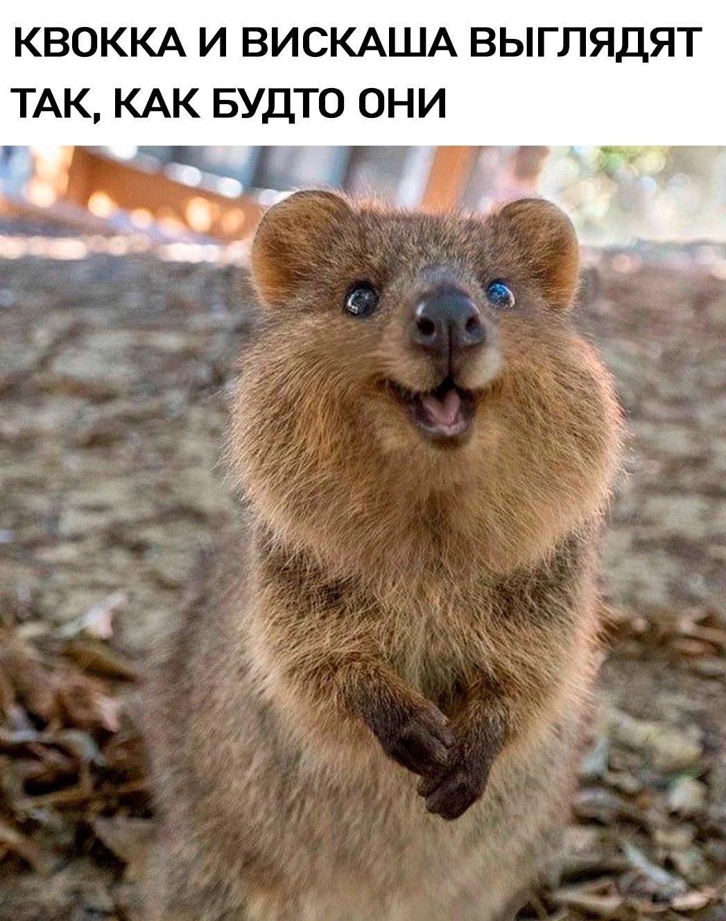 https://upforme.ru/uploads/0012/57/91/184/685477.jpg