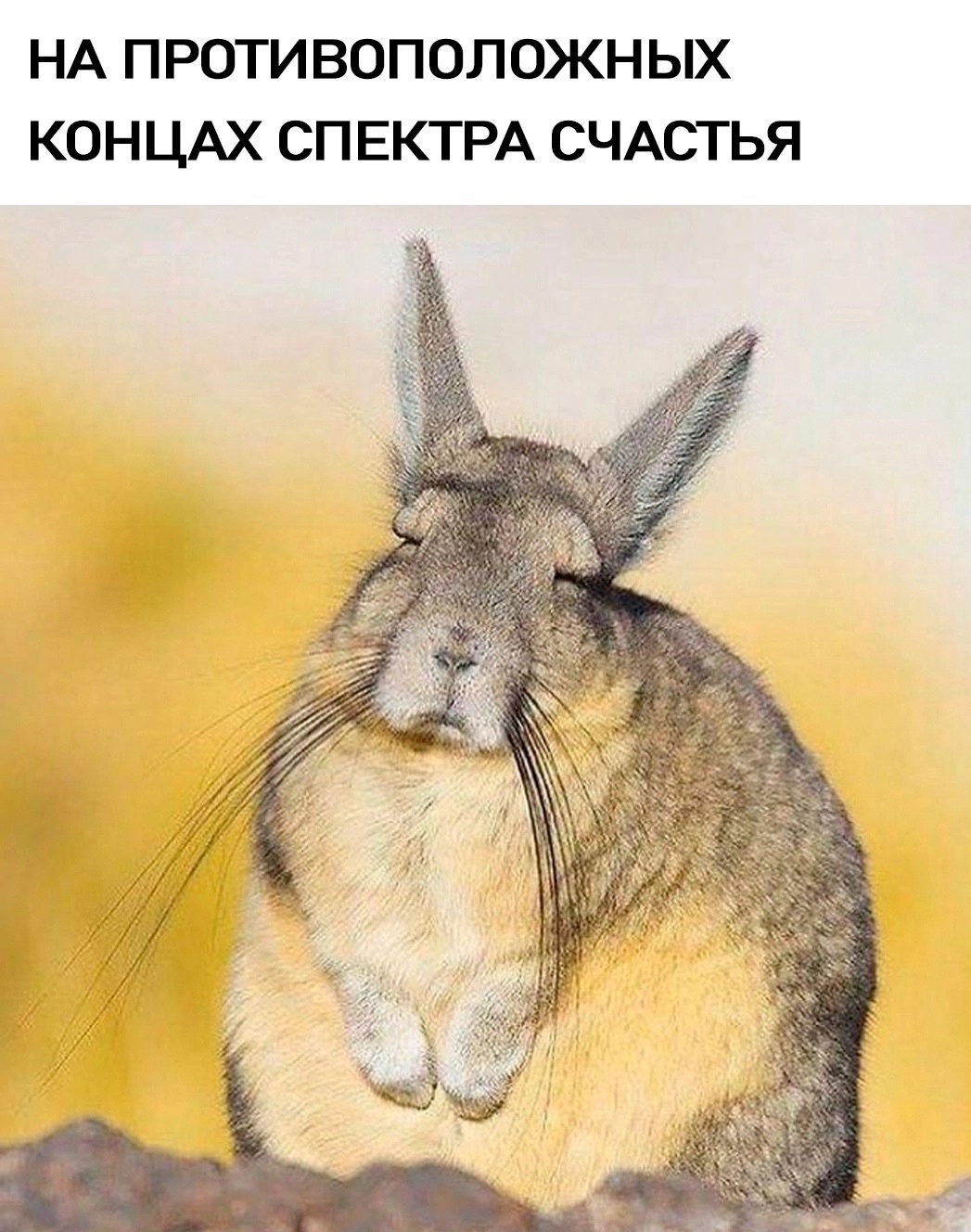 https://upforme.ru/uploads/0012/57/91/184/71733.jpg