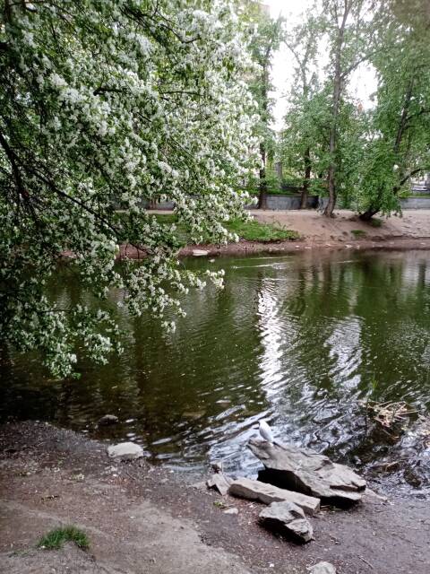 https://upforme.ru/uploads/0012/57/91/188/t201023.jpg