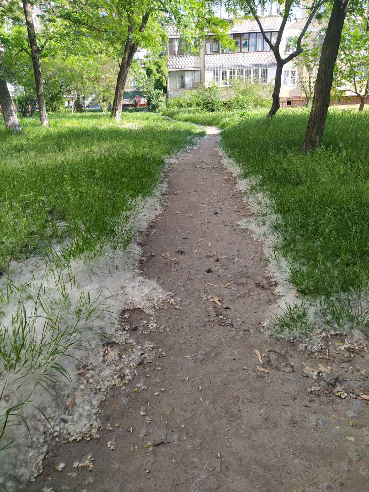 https://upforme.ru/uploads/0012/57/91/31/717918.jpg