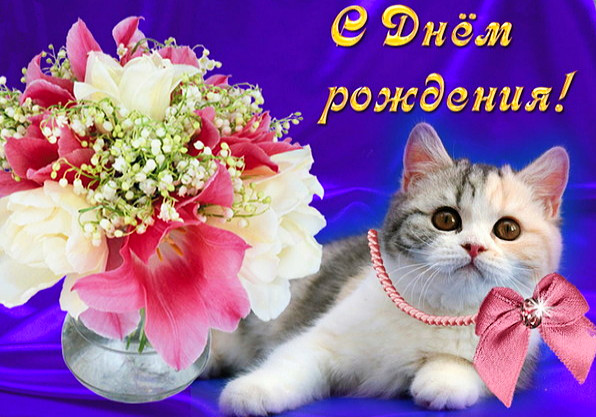 https://upforme.ru/uploads/0012/57/91/395/197724.jpg