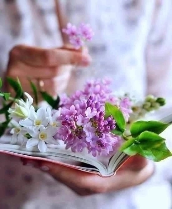 https://upforme.ru/uploads/0012/57/91/395/425333.jpg