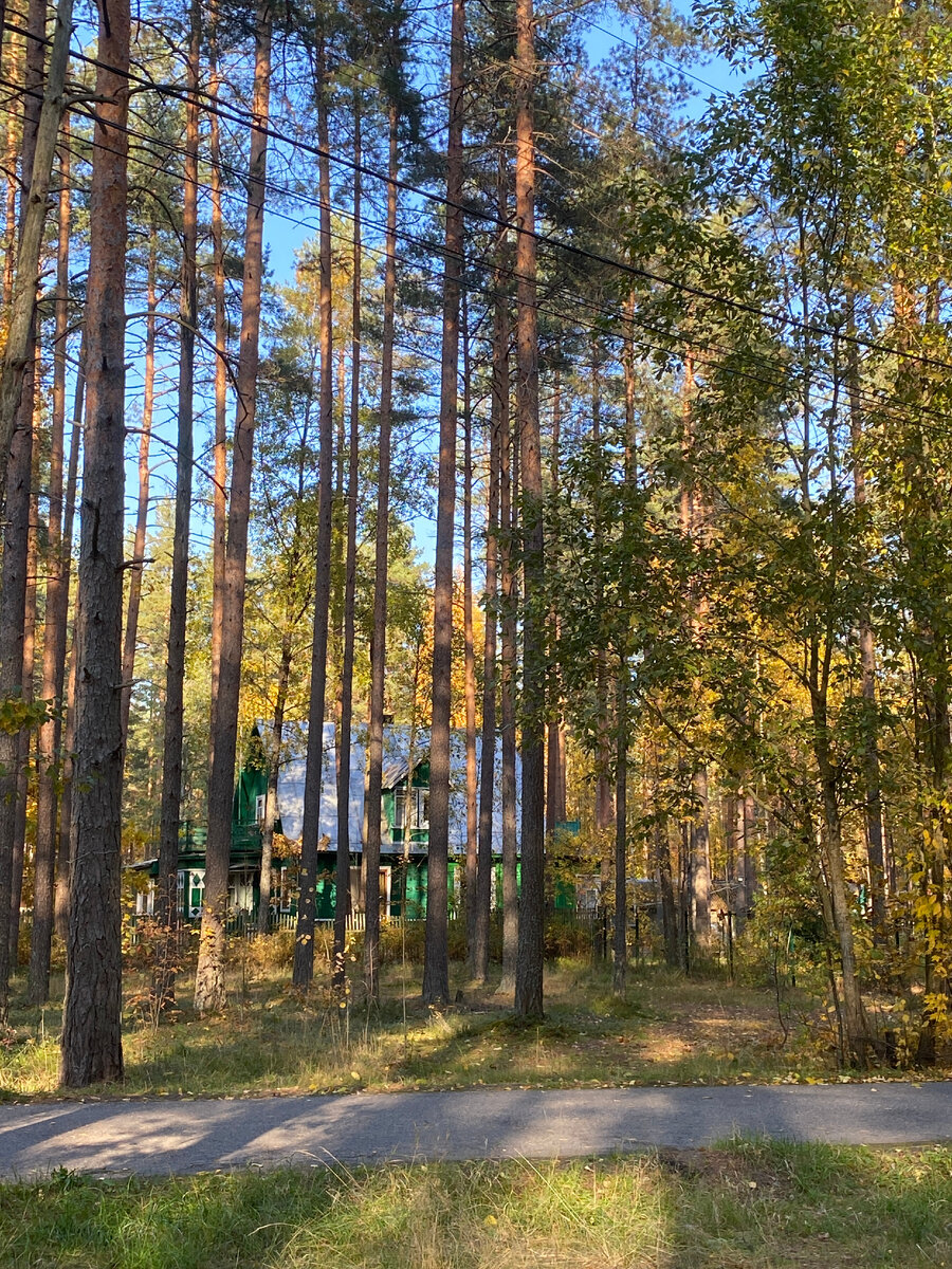 https://upforme.ru/uploads/0012/57/91/395/844721.jpg