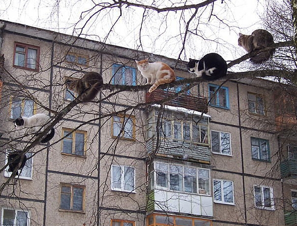 https://upforme.ru/uploads/0012/57/91/414/601911.jpg