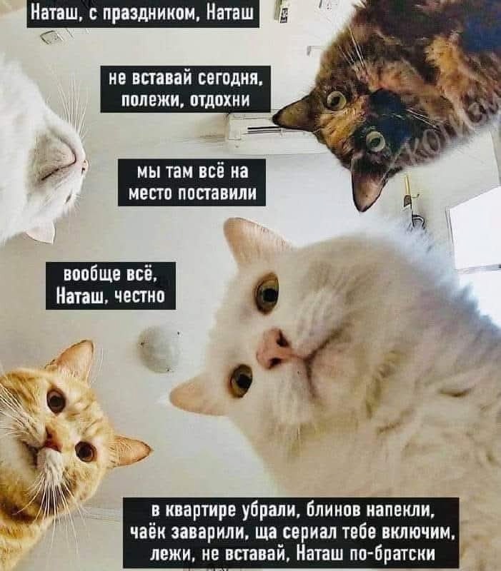https://upforme.ru/uploads/0012/57/91/414/609531.jpg