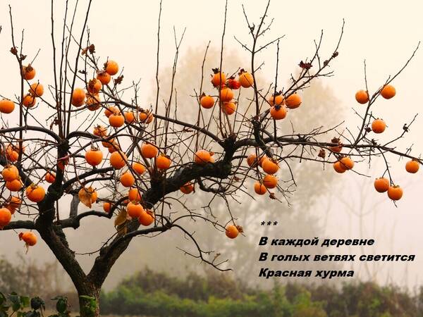 https://upforme.ru/uploads/0012/57/91/414/t374553.jpg