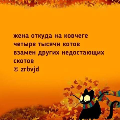 https://upforme.ru/uploads/0012/57/91/414/t452393.jpg