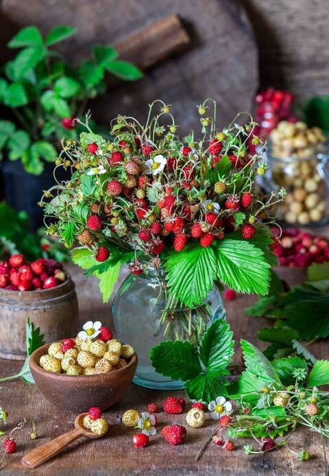https://upforme.ru/uploads/0012/57/91/414/t833473.jpg