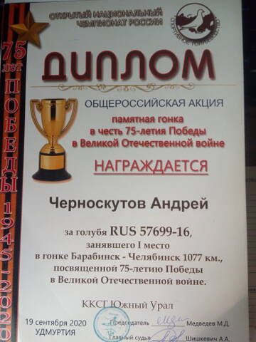 https://upforme.ru/uploads/0012/5a/ef/138/t248835.jpg