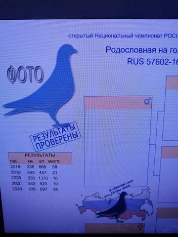 https://upforme.ru/uploads/0012/5a/ef/138/t281676.jpg