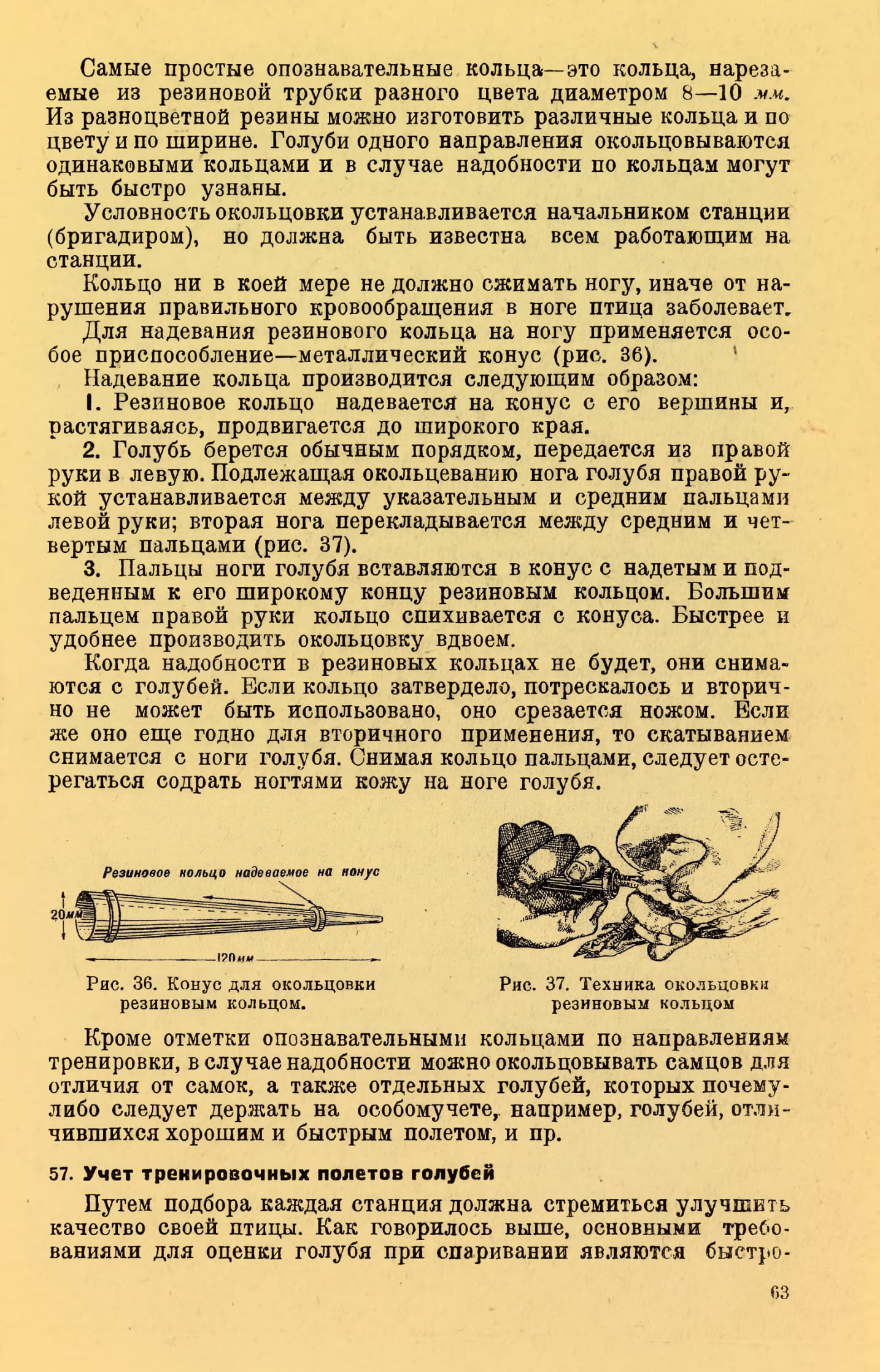 https://upforme.ru/uploads/0012/5a/ef/2/43431.jpg
