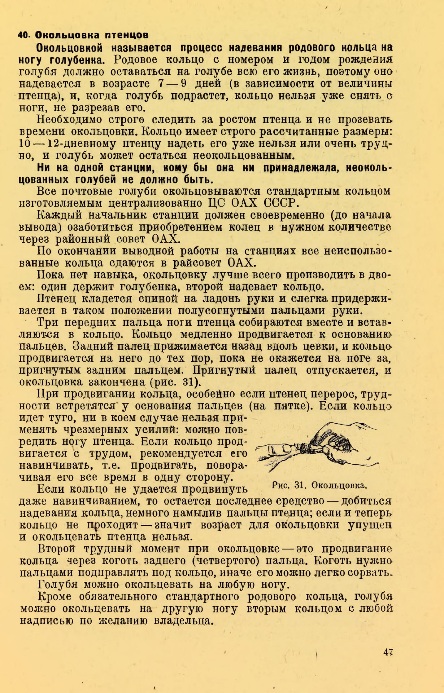 https://upforme.ru/uploads/0012/5a/ef/2/442901.jpg