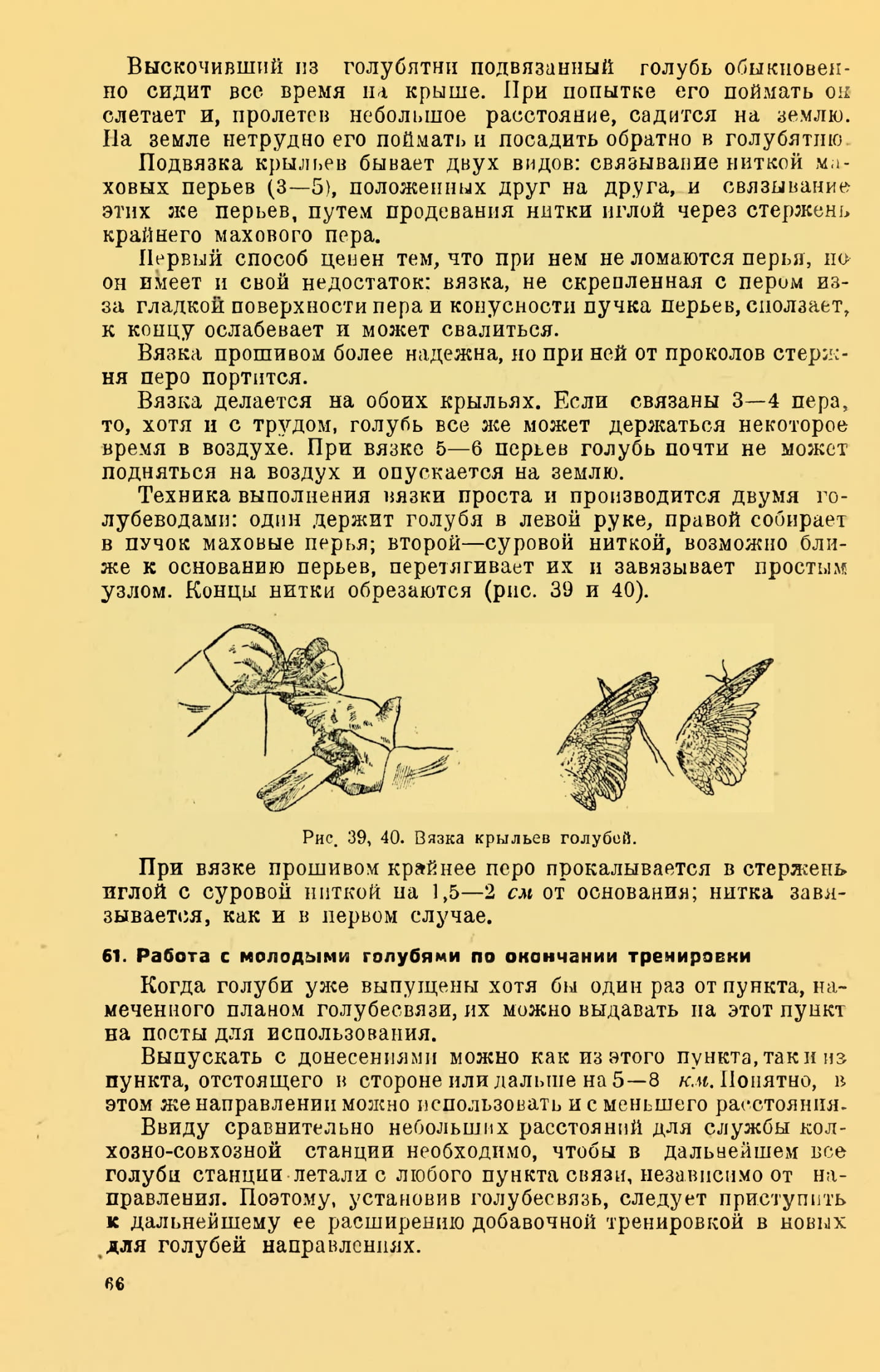 https://upforme.ru/uploads/0012/5a/ef/2/503694.jpg