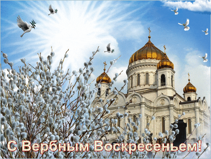 https://upforme.ru/uploads/0012/5a/ef/2/538681.gif