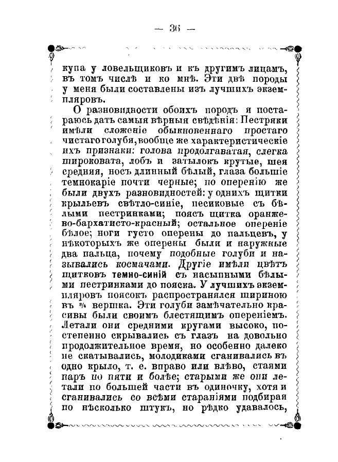 https://upforme.ru/uploads/0012/5a/ef/2/743055.jpg