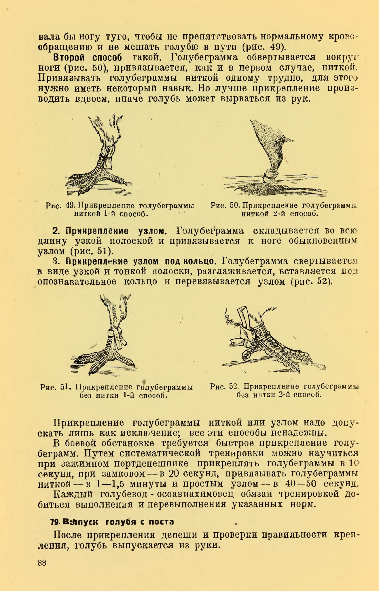 https://upforme.ru/uploads/0012/5a/ef/2/979808.jpg