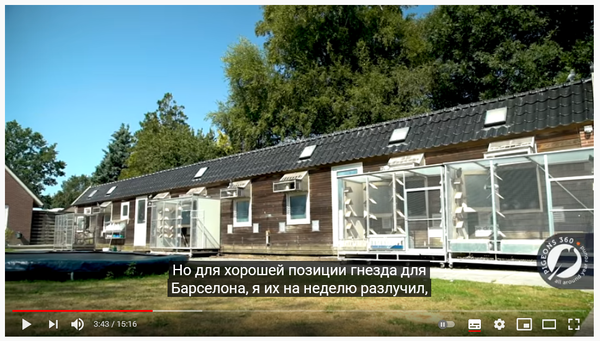 https://upforme.ru/uploads/0012/5a/ef/2/t117183.png