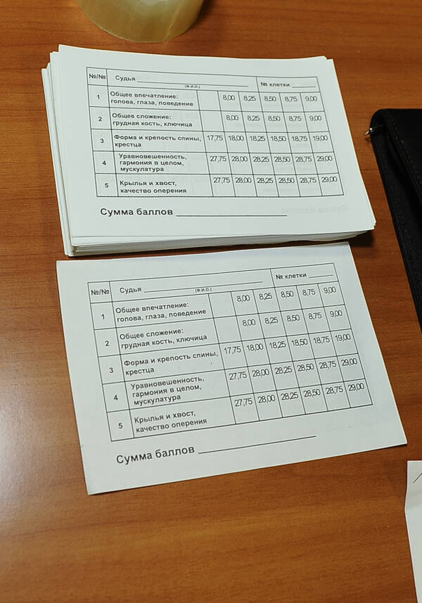 https://upforme.ru/uploads/0012/5a/ef/2/t246722.jpg